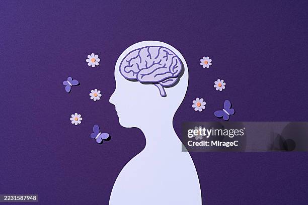 brain within a human silhouette, paper craft - menselijk hoofd stockfoto's en -beelden