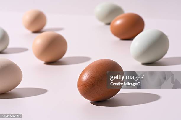 scattered eggs with various shell colors - shell select stock pictures, royalty-free photos & images