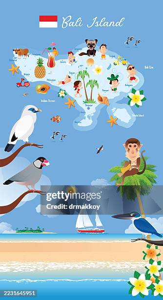 Bali Island Travel Map High-Res Vector Graphic
