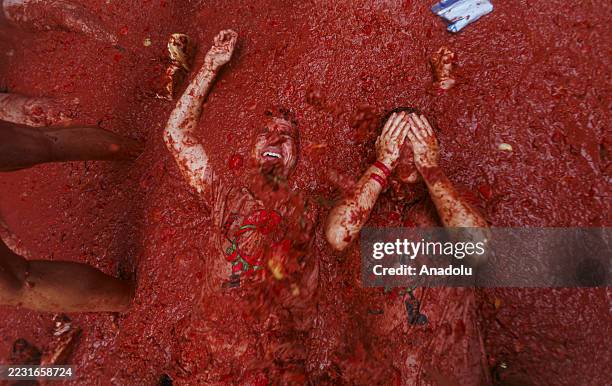 Participants take part in the 78th annual "La Tomatina" Festival in Bunol, Valencia, Spain on August 27, 2025. Participants throw 120 tons of...