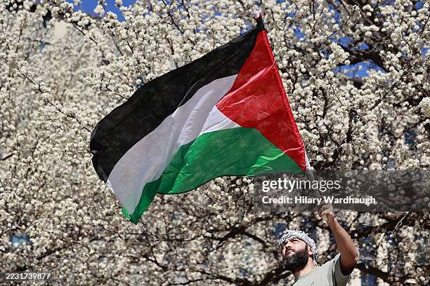 Pro-Palestinian activist waves a Palestinian flag at the National March for Palestine rally on August 24, 2025 in Canberra, Australia. Protests were...