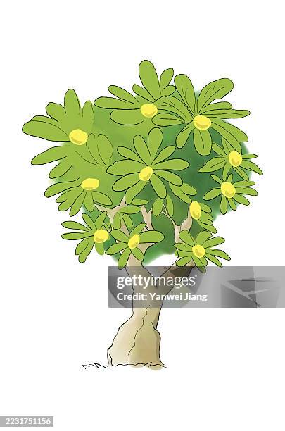 mango tree - mango tree stock illustrations