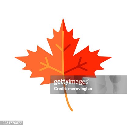 Maple leaf Maple leaf