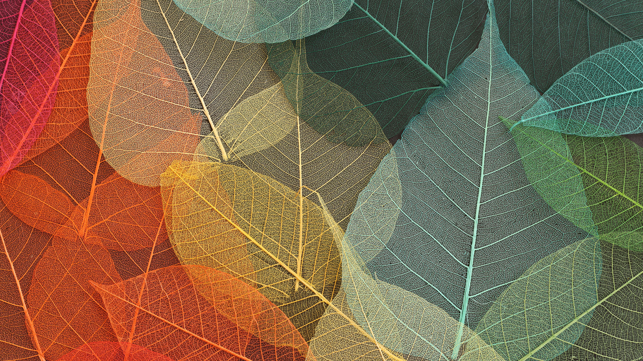 seasonal decor art