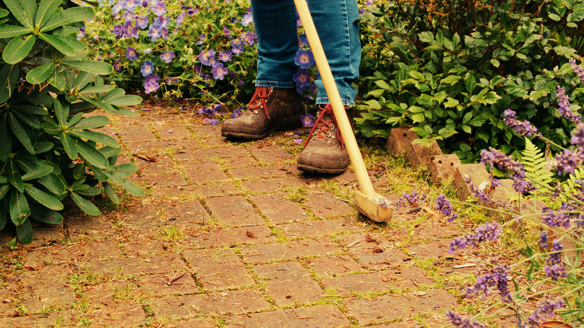 patio cleaning