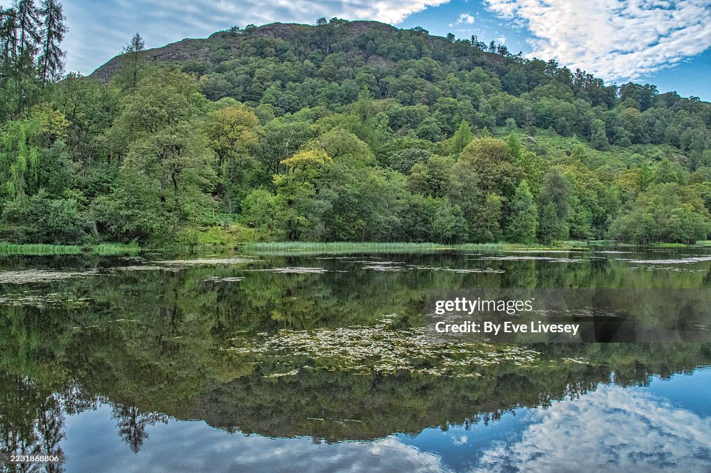Yew Tree Tarn Reflections