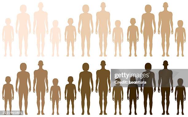 family diagrams, different races - female likeness stock illustrations
