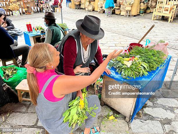 ecuadorian vendor selling medicinal plants at cuenca market in azuay - traditional native american medicine stock pictures, royalty-free photos & images