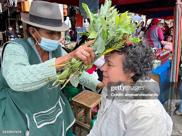 herbalist placing a crown of medicinal plants on a tourist in cuenca - traditional native american medicine stock pictures, royalty-free photos & images