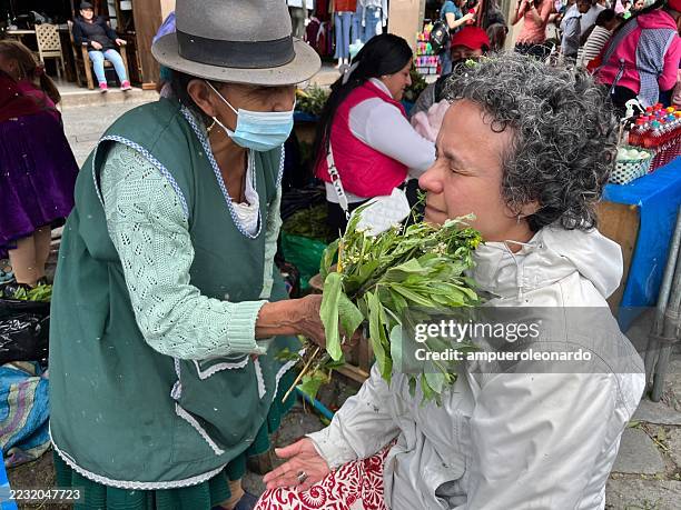 indigenous vendor offering medicinal herbs to a tourist in cuenca, ecuador - traditional native american medicine stock pictures, royalty-free photos & images