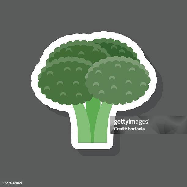 broccoli vegetable sticker icon - broccoli farm stock illustrations