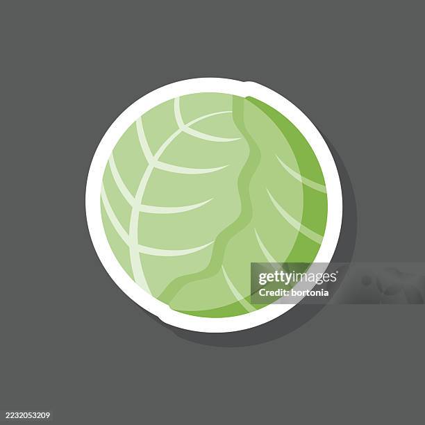 lettuce vegetable sticker icon - iceberg lettuce stock illustrations