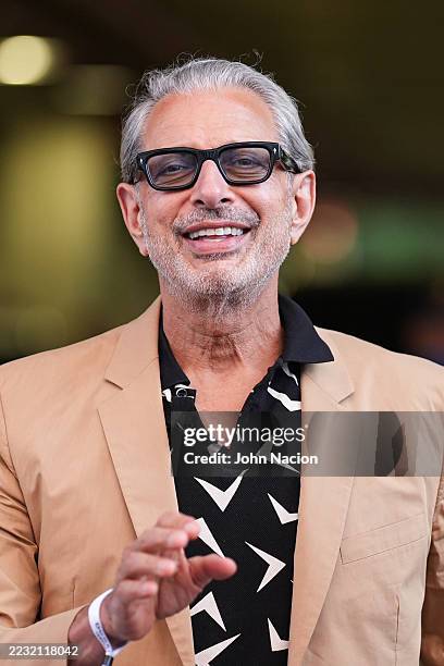 Jeff Goldblum attends the US Open Tennis Championship at the USTA Billie Jean King National Tennis Center on August 25, 2025 in New York City.