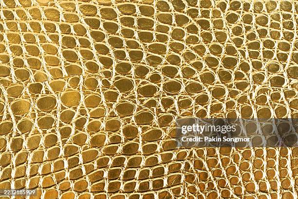 close up of light gold color alligator leather texture as background. - animal scale stock pictures, royalty-free photos & images