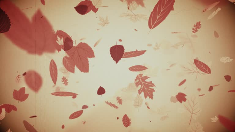 https://media.gettyimages.com/id/2232214168/video/falling-autumn-leaves-background.jpg?b=1&s=640x640&k=20&c=bCsvBrnK1SZfH1uKRHnrjiHhFv8OtmZ-P7QNcAxol_c=