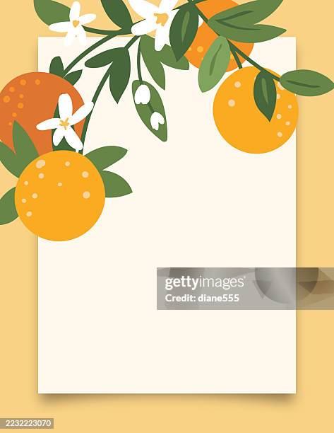 oranges & blossoms invitation template or flyer with copy space - citrus fruit stock illustrations