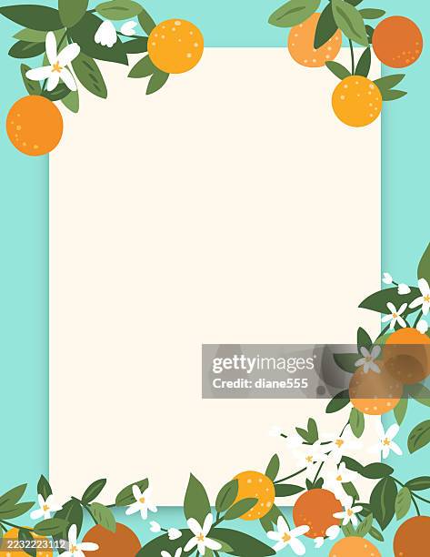 oranges & blossoms invitation template or flyer with copy space - orange tree stock illustrations