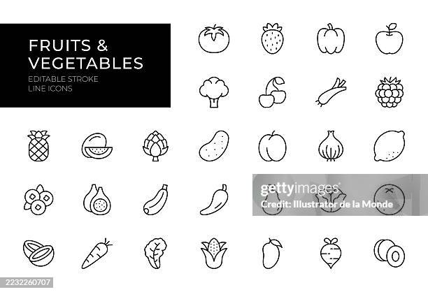 fruit and vegetables line icon set - empty grocery store stock illustrations