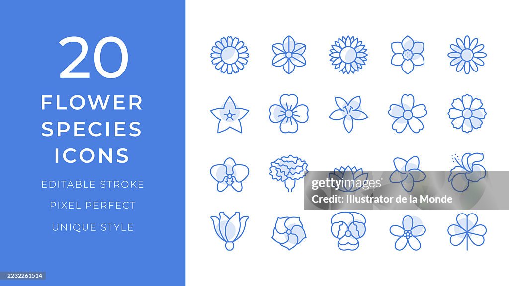 Flower Species Icons Set. 20 Editable Stroke Vector Illustrations