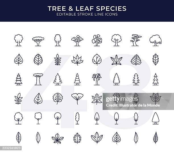 stockillustraties, clipart, cartoons en iconen met tree and leaf species line icons - kastanjebloesem