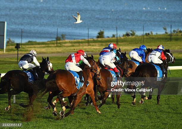 Melbourne Races Flash 64 Photos & High Res Pictures - Getty Images