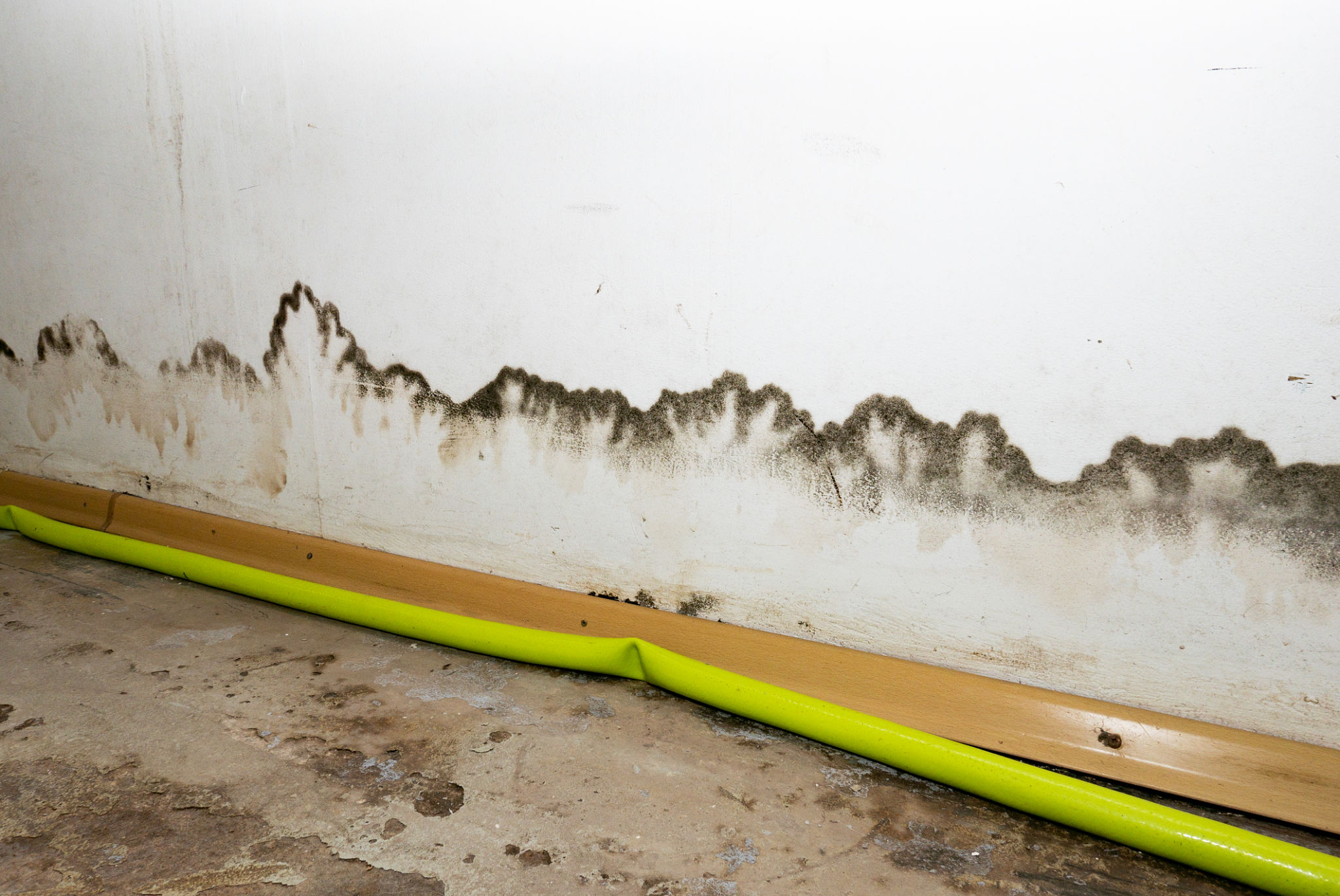 flood insurance
