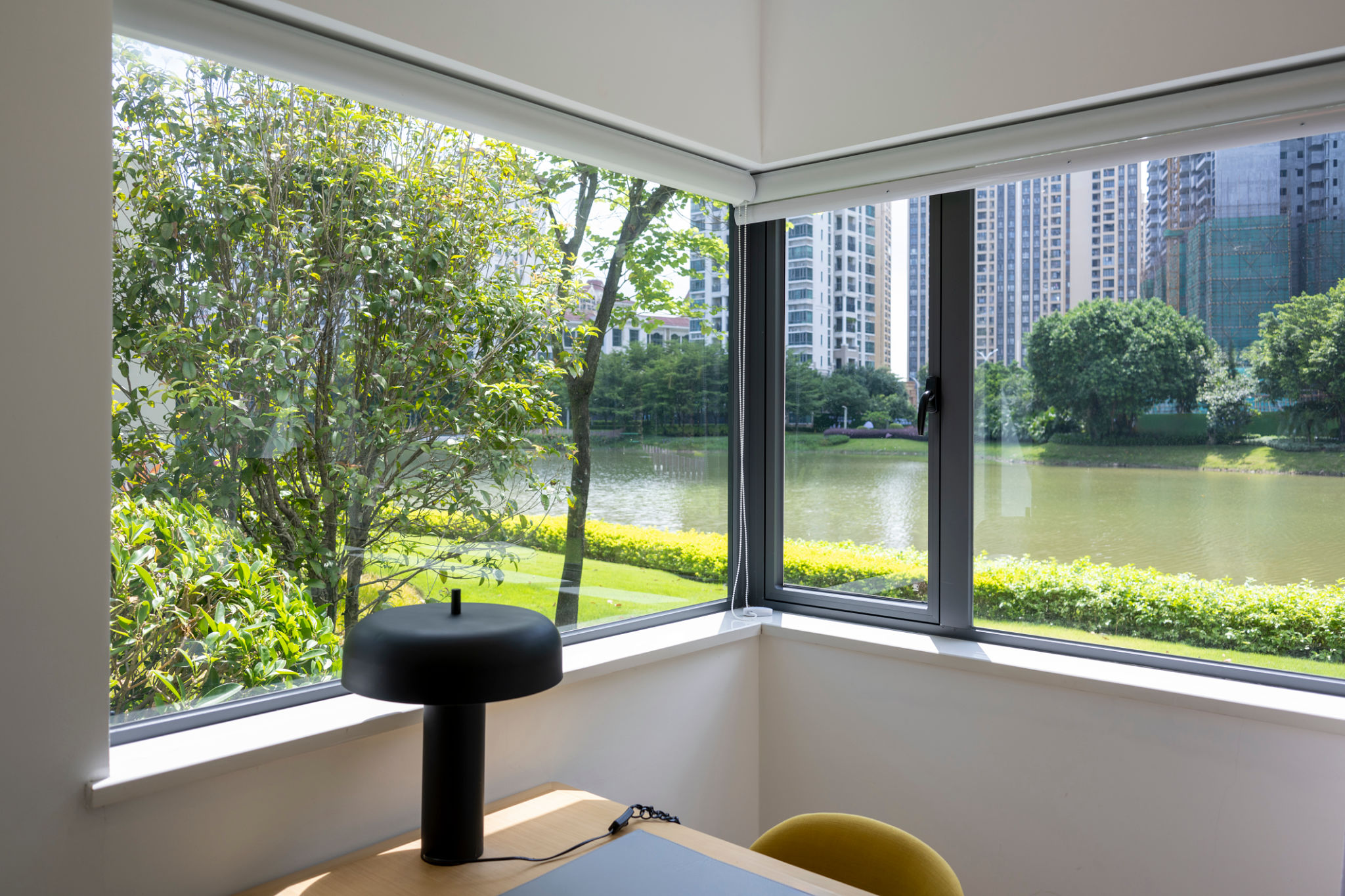 office greenery