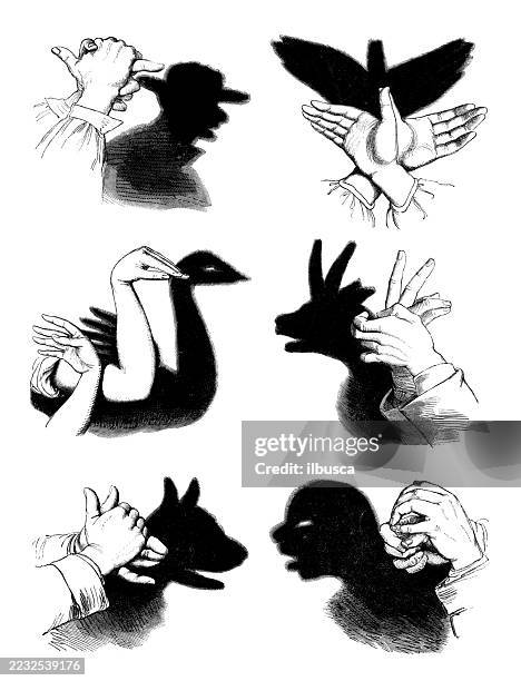 antique engraving woodcut illustration: shadow puppetry - shadow puppet stock illustrations