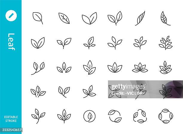 bildbanksillustrationer, clip art samt tecknat material och ikoner med leaf icons - line series - löv