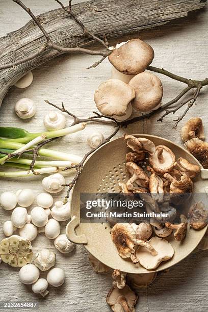 a variety of fresh mushrooms with spring onions and garlic, arranged and ready for cooking. - chopping garlic stock pictures, royalty-free photos & images