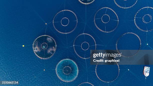 luftaufnahme einer fischfarm auf dem meer - aquakultur stock-fotos und bilder