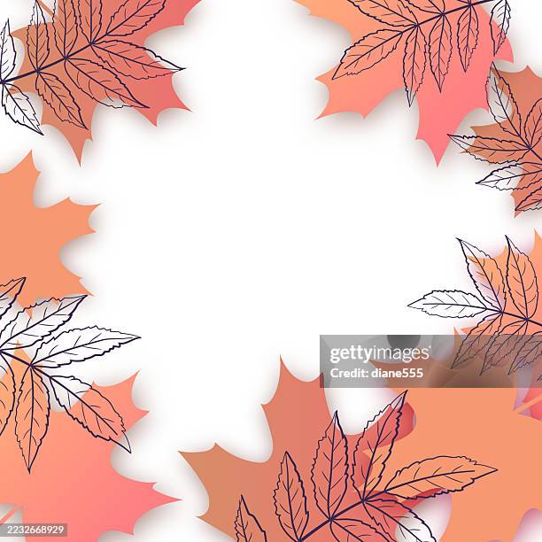 fall leaf border with room for your text - falling leaves transparent background stock illustrations