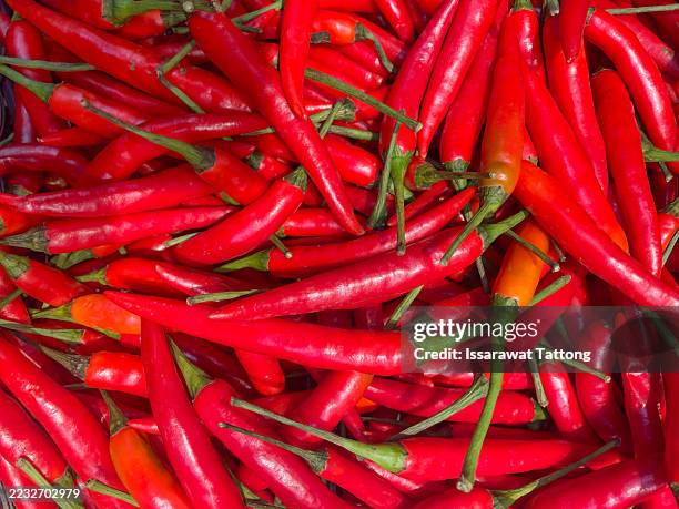 red hot chilli peppers pattern texture background. close up. a backdrop ofred hot chilli peppers - salsa stockfoto's en -beelden