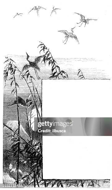 book ornate frame - ornamental grass stock illustrations