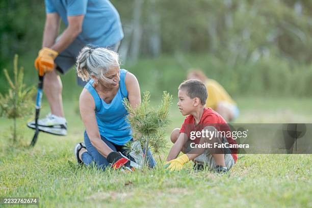 intergenerational effort planting trees in an outdoor natural environment - legacy concept stock pictures, royalty-free photos & images