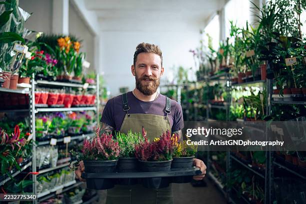 portrait of bearded man in flower store. - plant nursery stock pictures, royalty-free photos & images