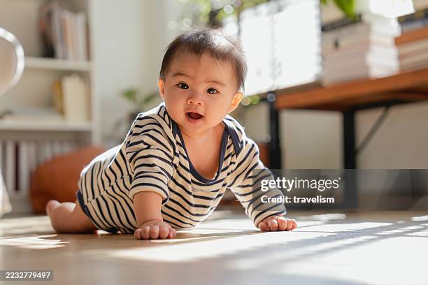 asian baby girl learning to crawl smiling baby girl crawling on floor of living room daylight happy portrait and crawling on floor for muscle development, learning and mobility in home - crawling stock pictures, royalty-free photos & images