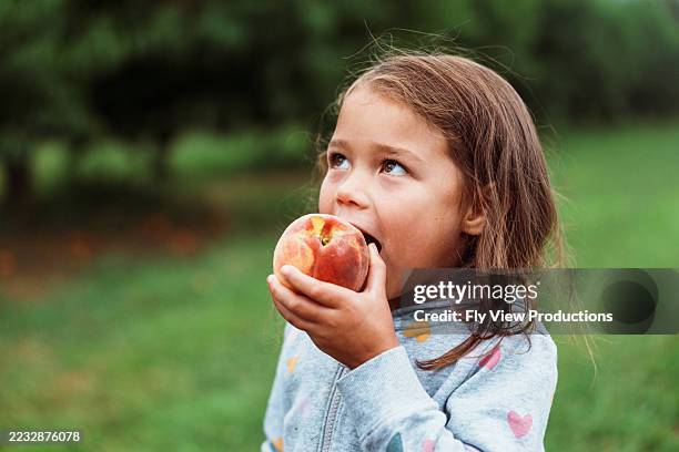 young girl eating fresh peach in orchard - persika bildbanksfoton och bilder