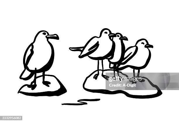 birds on rocks ink - seagull stock illustrations