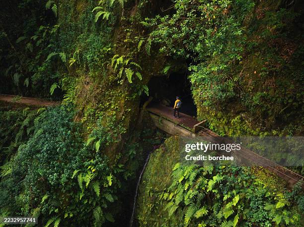 levada hiking in madeira - madeira stock pictures, royalty-free photos & images