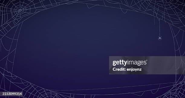 spiderwebs frame background - phobia stock illustrations