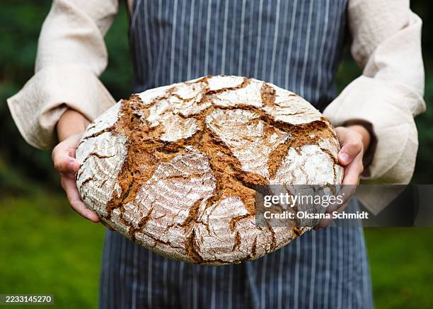 traditional handmade bread with a thick, cracked crust, resting in the hands of a baker. its rustic appearance and artisanal charm celebrate slow food and natural ingredients. - sourdough bread stock pictures, royalty-free photos & images