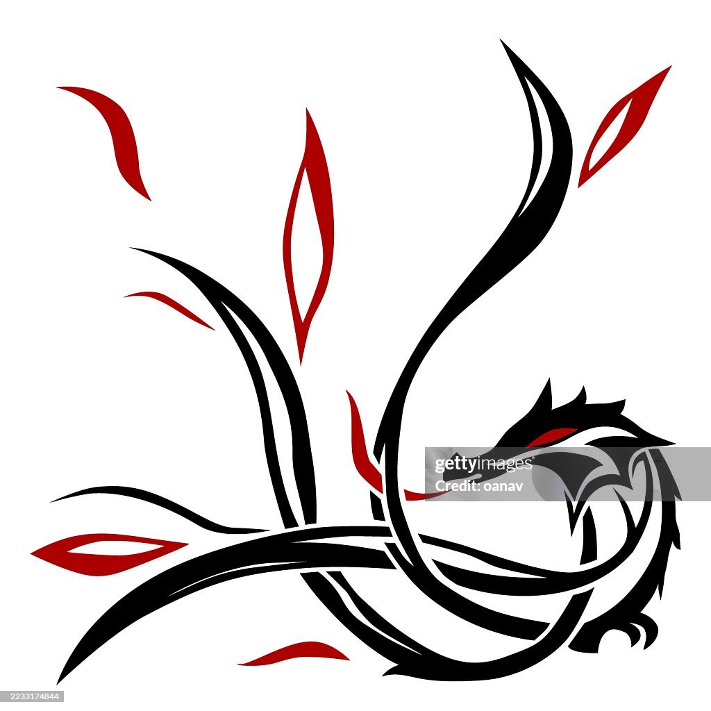 Celtic dragon design