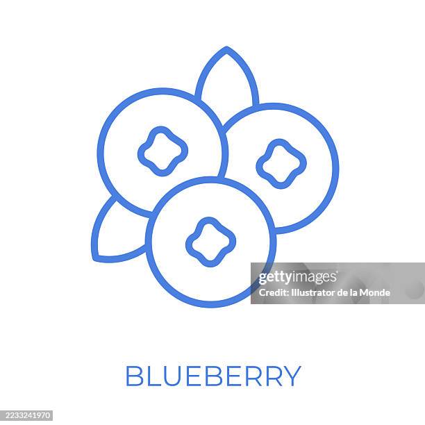 blueberry editable stroke vector illustration - currant vector stock illustrations