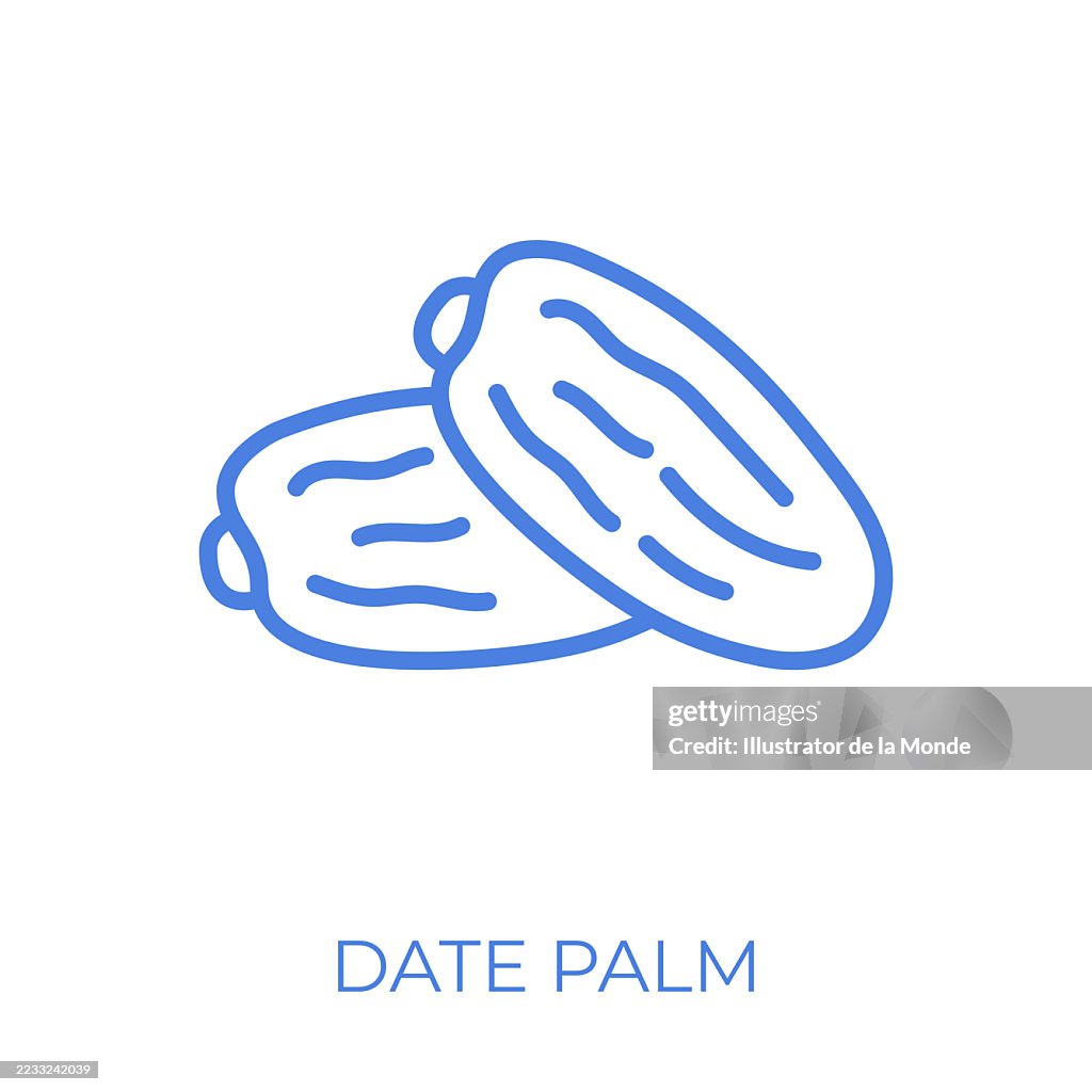 Datum Obst Bearbeitbare Strich Vektor Illustration