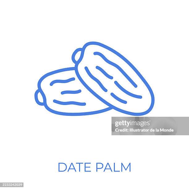 date fruit editable stroke vector illustration - dried fruit stock illustrations