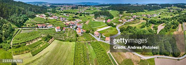 rias baixas wine region in galicia, spain - rías baixas stock pictures, royalty-free photos & images