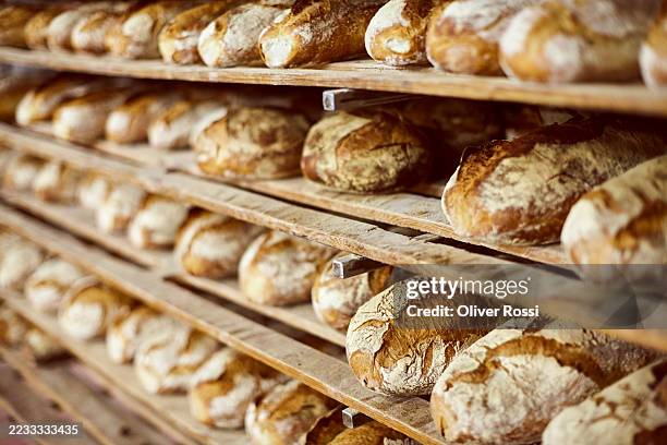 rows of bread on a shelf - bakery stock pictures, royalty-free photos & images