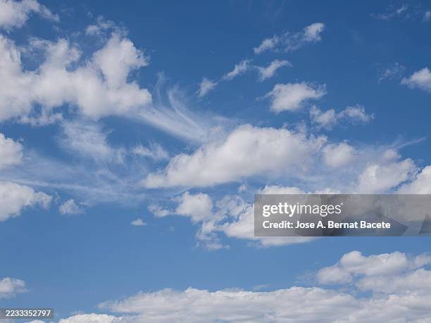blue sky with white summer clouds. - altostratus stock-fotos und bilder