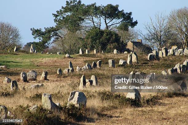 ancient stone alignment in a field,france - morbihan stock pictures, royalty-free photos & images